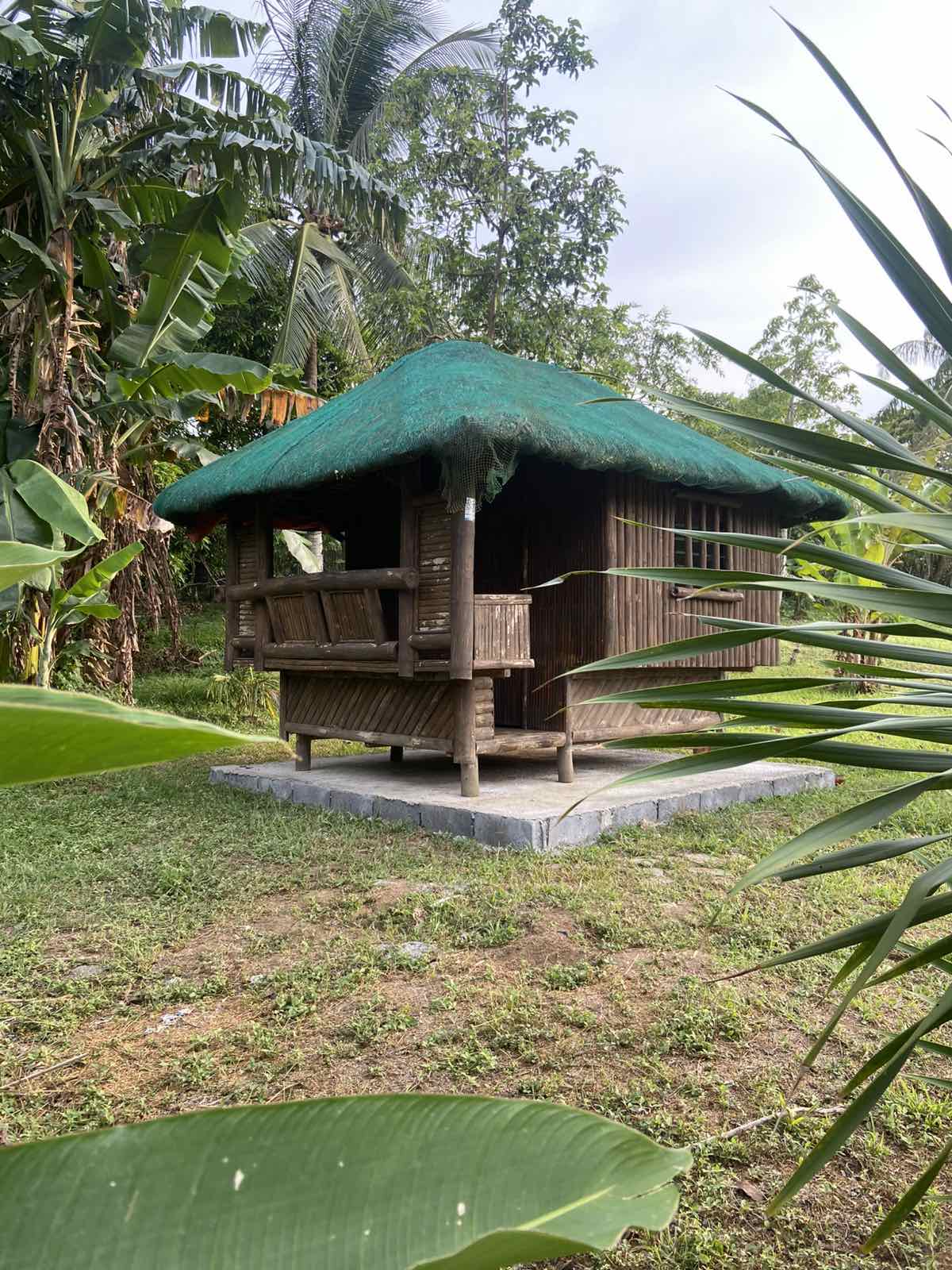 Traditional rustic hut surrounded by lush tropical greenery